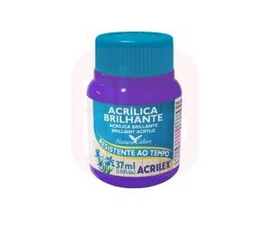 Tinta Acrílica Brilhante 37ml Violeta - Acrilex