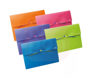 Pasta Sanfonada A4 FullColor Dello Roxo