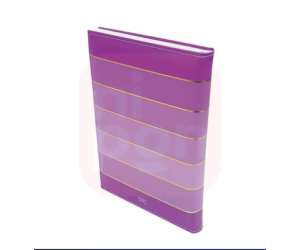 Agenda 2024 DAC Purple