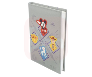 Agenda 2024 Disney 100