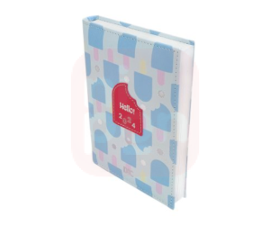 Agenda 2024 DAC Hello