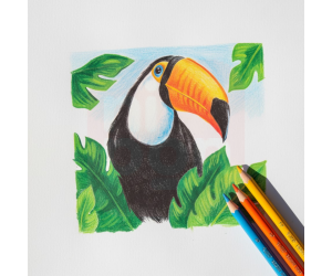 Lápis de Cor Sextavado Evolution 12 Cores  – BIC